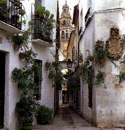 Calle Cordobesa